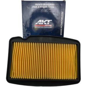 Elemento Filtro Aire AKT 125/150 TTR 180TTR 180TTX