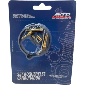 Kit Reparacion Carburador 110 AKT 110S