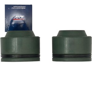 Juego Reten Valvula AKT 110S/SMART