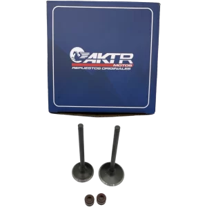 Kit Valvulas ANASC RJ4 AKT 125SC R 125J4 150J5