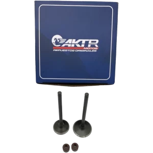 Kit Valvulas AKT 235