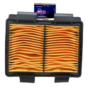 Elemento Filt Aire AKT 300Rally