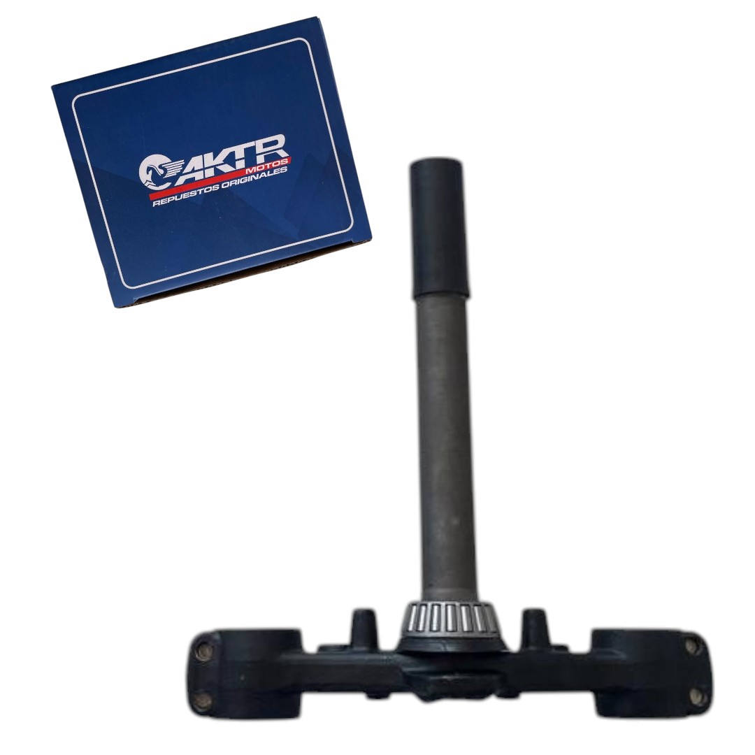 Horquilla Inferior AKT TT200DS SKU 7705946698214-Photoroom (2)