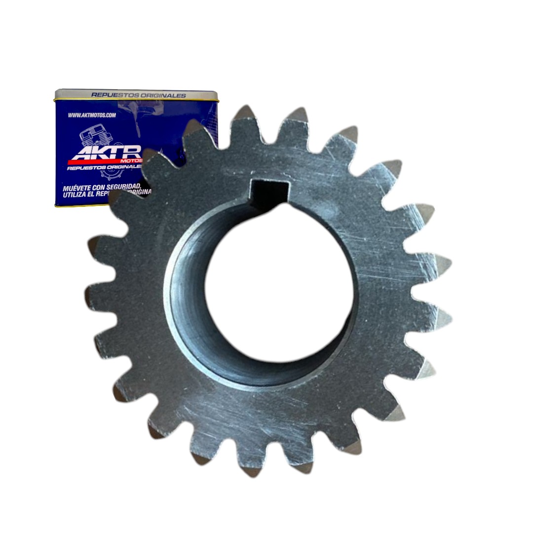 Piñon Primario 162CR4 Rp