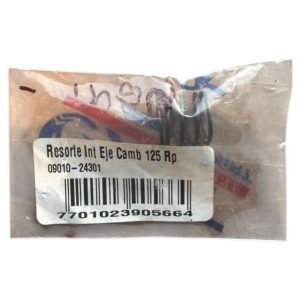 Resorte Interno Eje Cambios AKT 125EVO 3W 3W180 3W200 125125NE 125/150 TTR 125 NKDR SLR 180XM 200 XM/SM 235R 125 S SL NKD