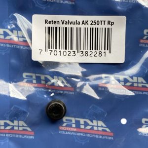 Reten Valvula AKT 250TT
